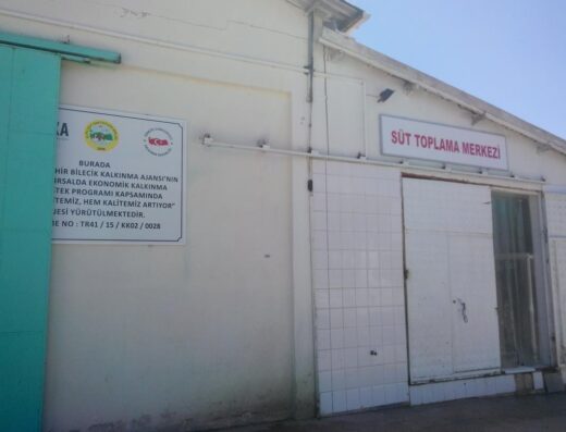 Hem kapasitemiz hem kalitemiz artıyor
