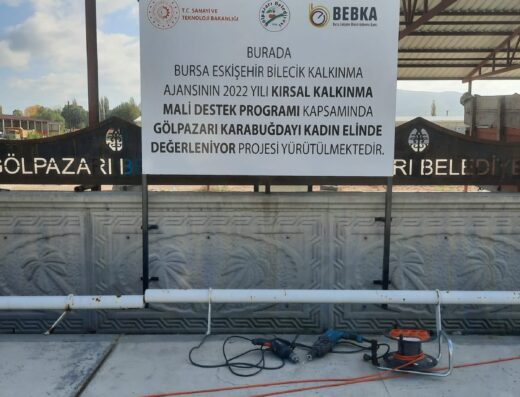 Gölpazarı Buğdayı Kadın Elinde Değerleniyor